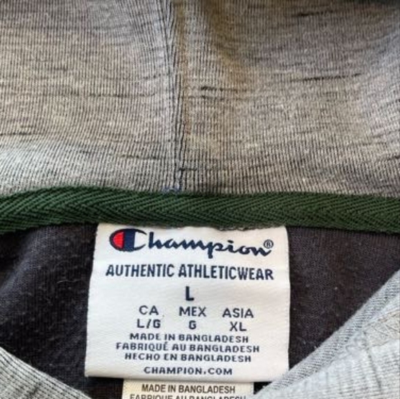 Champion Mens Gray Collegiate Hoodie Sweatshirt Msu Michigan State Spartans L - Picture 4 of 4